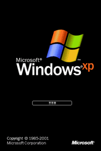  Windows XP Loading Animate iti permite sa instalezi un 