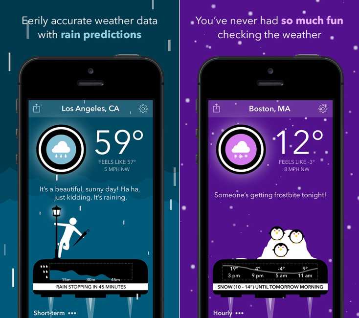carrot weather review