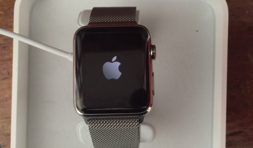 Apple Watch boot loop (Video) | iDevice.ro