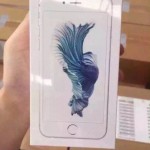 iPhone 6S ambalaj