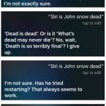 Siri Jon Snow mort