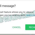 whatsapp functie lume recall