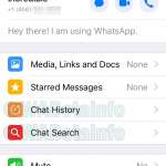 whatsapp lansa functie grozava