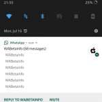 WhatsApp Functie ESENTIALA NU Asteptat 351211 1