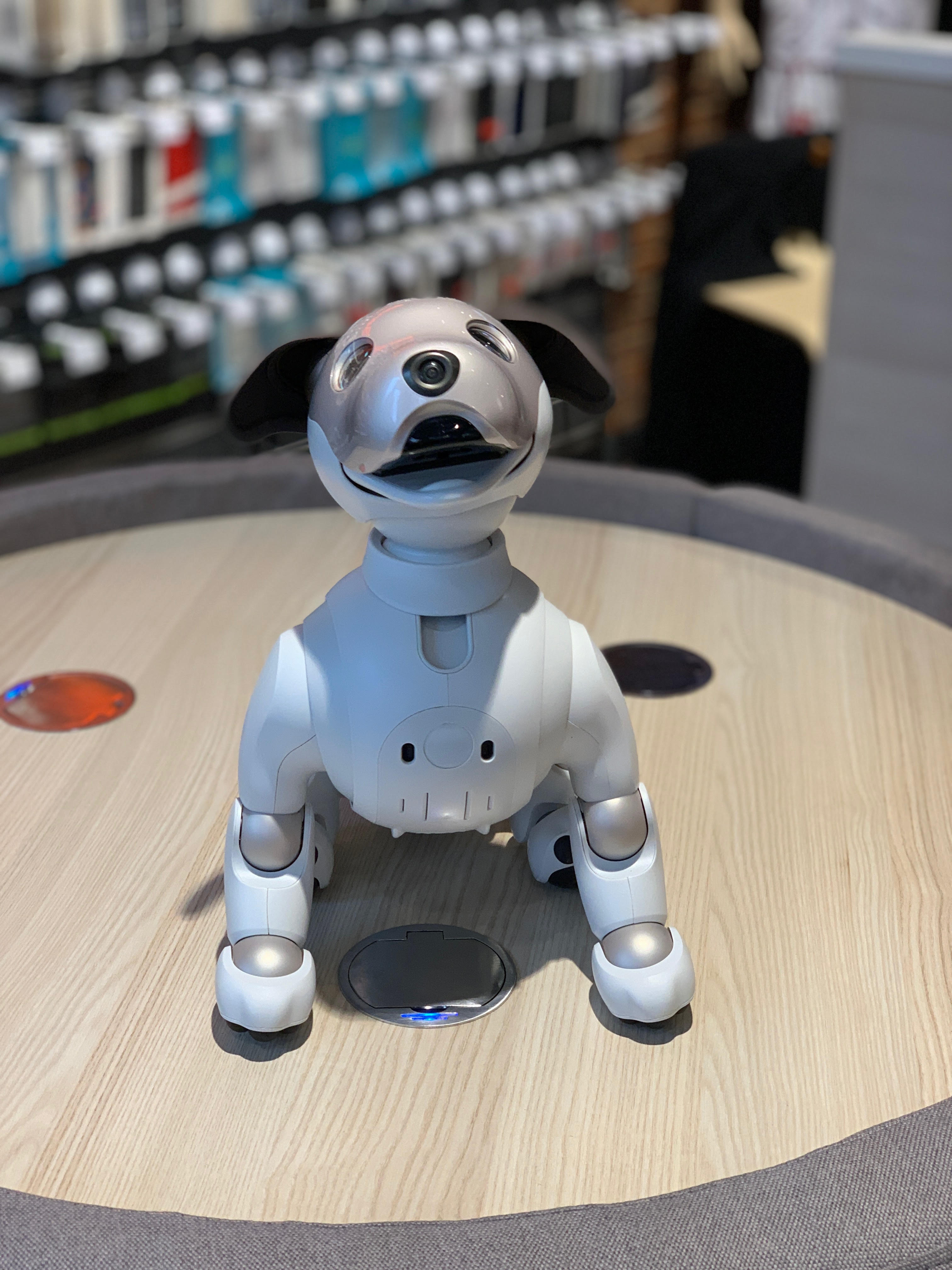 Sony Aibo catel inteligent 1