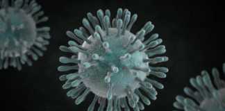 Coronavirus google