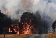 incendii australia nasa