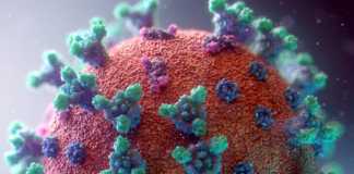 Coronavirus Romania Cazurile Vindecarile 7 August