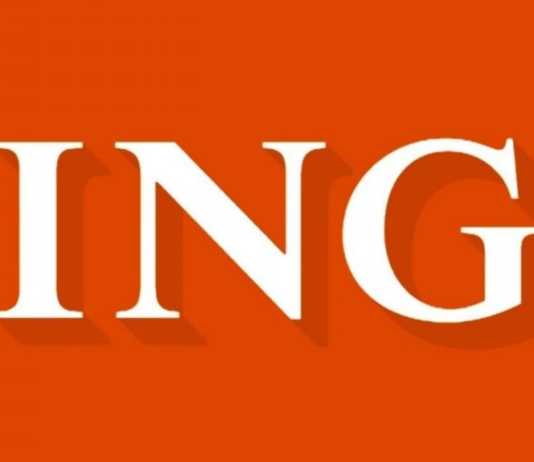 ING Bank rapoarte