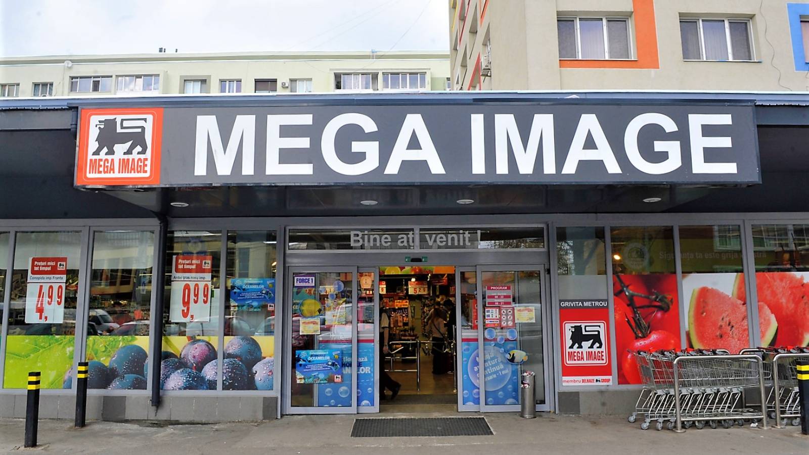 MEGA IMAGE craciun