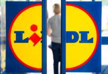 LIDL Romania intalnire