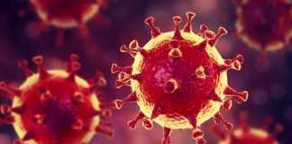 Coronavirus De ce 2 Doze Vaccin