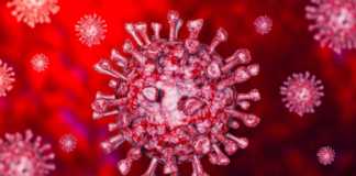 Coronavirus Romania Noile Cazuri Anuntate 23 Aprilie