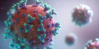 Coronavirus persoane vaccinate infecta probabilitate