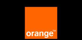 Orange fundal