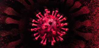 Coronavirus Romania Numarul Nou Cazuri Noi 15 Iunie 2021