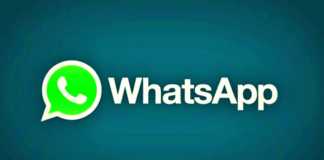 WhatsApp director