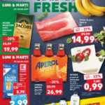 Kaufland soldare magazine