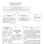 Ce Trebuie Faca Romanii Infectati cu COVID-19 Ghidul Ministerului Sanatatii plan