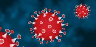 Coronavirus Romania Noul Numar Cazurilor Noi 7 Februarie 2022