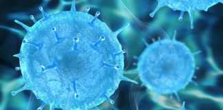 Coronavirus Romania Noul Numar Noilor Cazuri 3 Februarie 2022