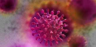 Coronavirus Romania Numarul Noilor Cazuri 4 Februarie 2022