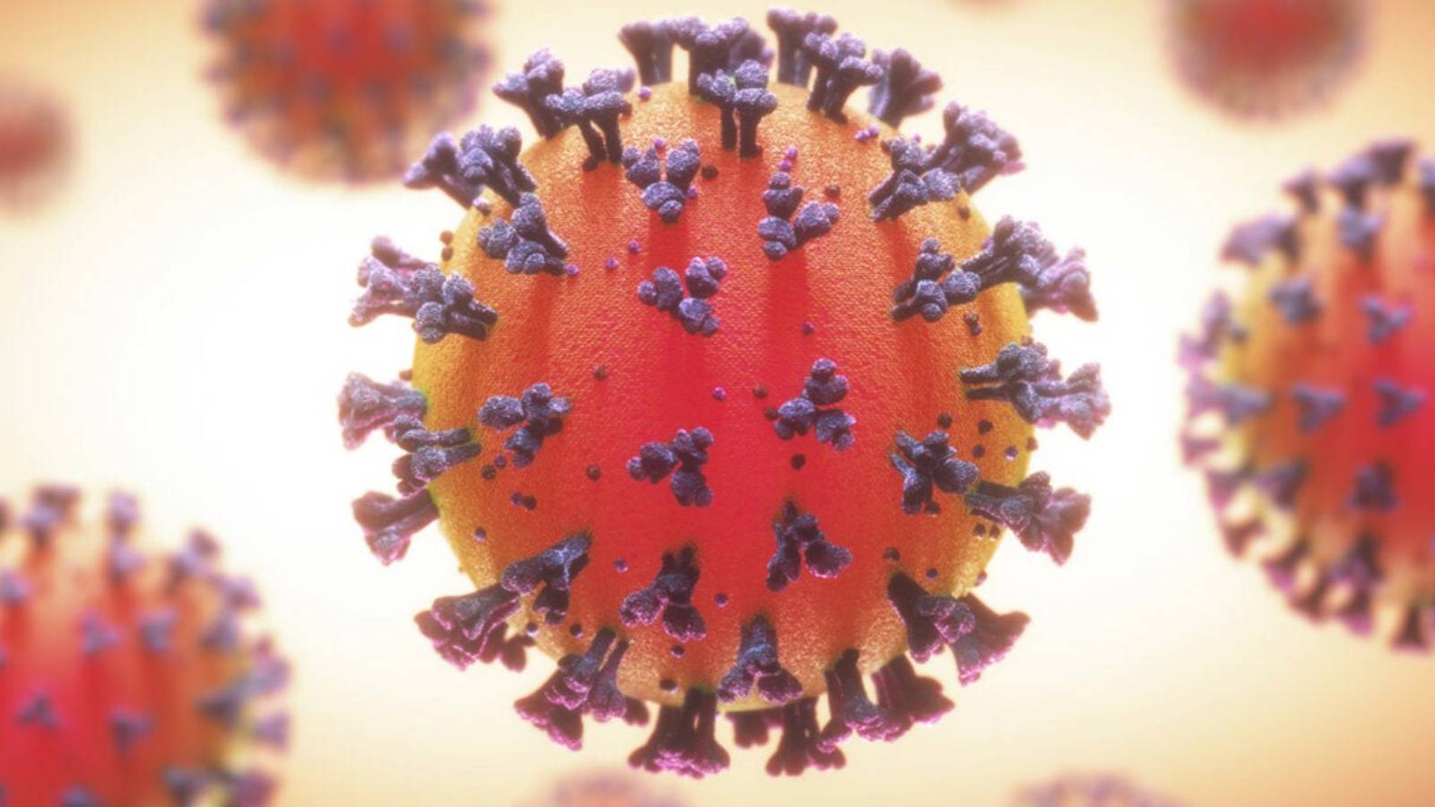 Coronavirus Romania Numarul Nou Cazurilor Noi 16 Februarie 2022