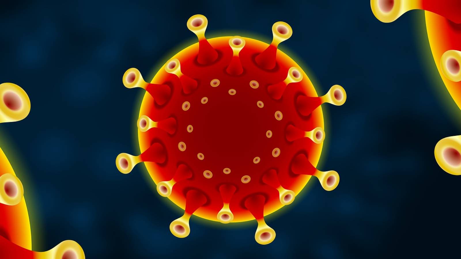 Coronavirus Romania Numarul Nou Cazurilor Noi 24 Februarie 2022