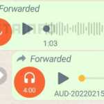 WhatsApp Surpriza SPECIALA Noua Functie iPhone Android identificat