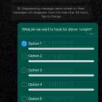 WhatsApp Schimbarea Neasteptata Descoperita iPhone Android sondajele