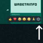 WhatsApp Schimbarea SECRETA Divulgata iPhone Android reactionare