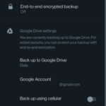 WhatsApp Schimbarea SECRETA NIMENI Nu Asteptat google drive backup