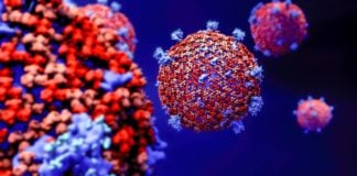 Coronavirus Romania Numarul Nou Cazurilor Noi 24 Iulie 2022