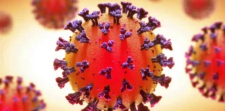 Coronavirus Romania Numarul Nou Oficial Infectarilor Noi 23 August 2022