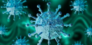 Coronavirus Romania Noul Numar Cazurilor Noi 12 Septembrie 2022