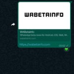 WhatsApp face Neasteptata Schimbare MAJORA iPhone Android Acum automatizare