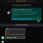 WhatsApp vrea Faca SECRET Noi Modificari iPhone Android grup sondaje