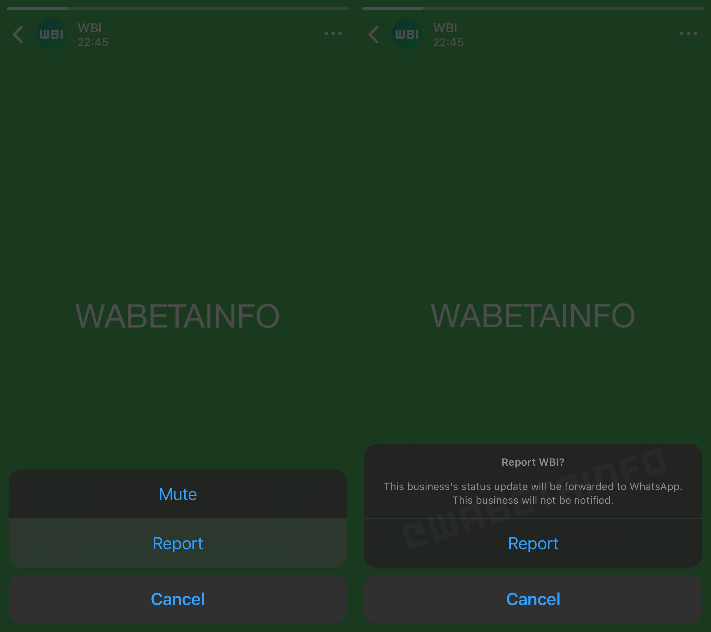 SCHIMBARILE WhatsApp iPhone Android Pregatite 2023 status raportare