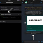 2 Noutati WhatsApp ASCUNSE Aplicatia iPhone Android aprobare participanti