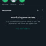 Decizia WhatsApp SURPRINDE Miliarde Oameni Android iPhone newsletter status