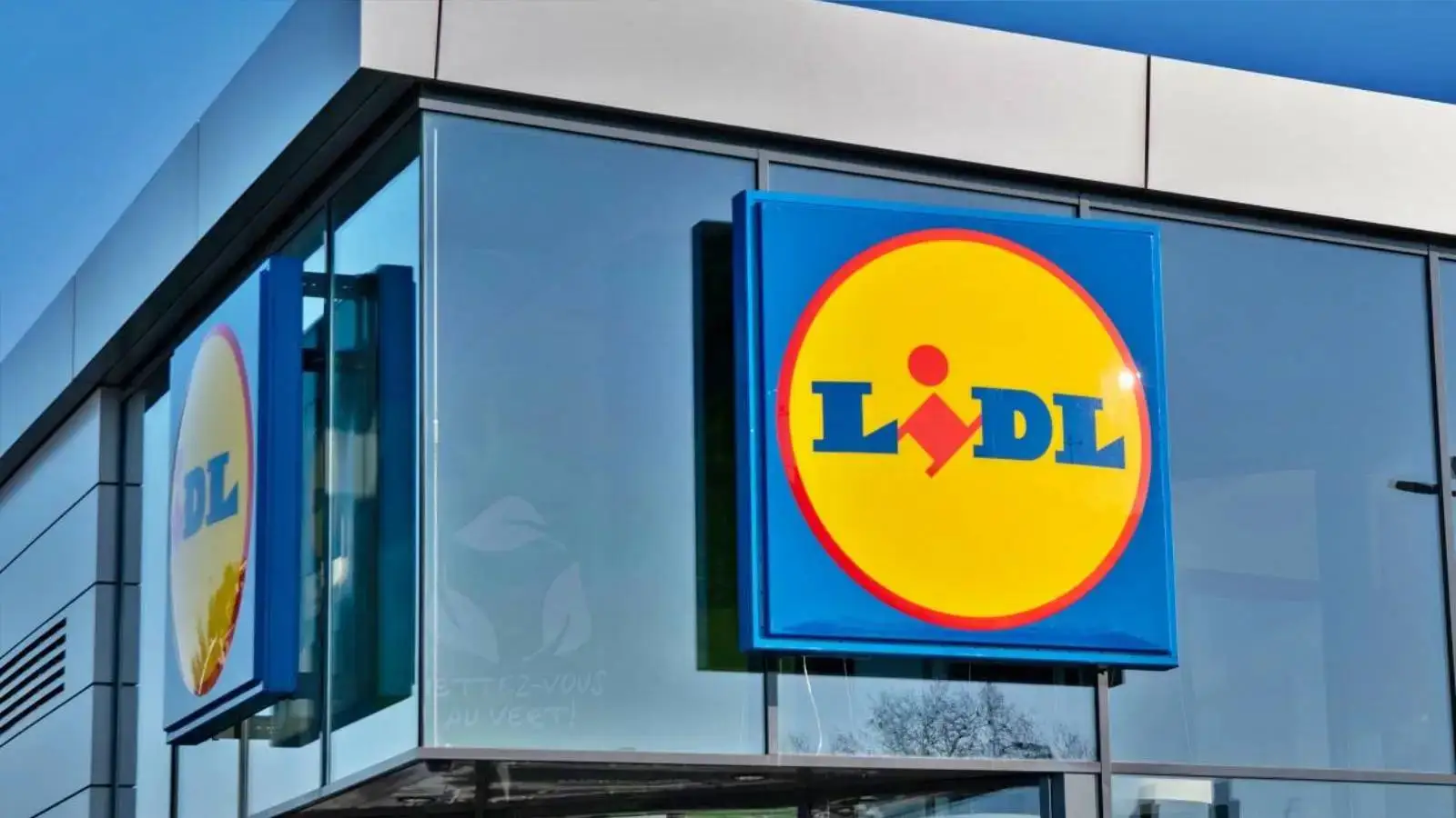 GRATUIT LIDL Romania MILIOANE Romani Decizii Luat