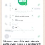 WhatsApp vizualizari sondaje canale