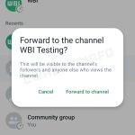 WhatsApp retrimiteri canale conversatii