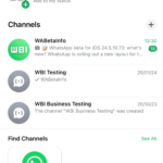 WhatsApp descoperita canale