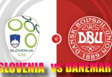 SLOVENIA - DANEMARCA LIVE PRO ARENA EURO 2024 Meci Faza Grupelor