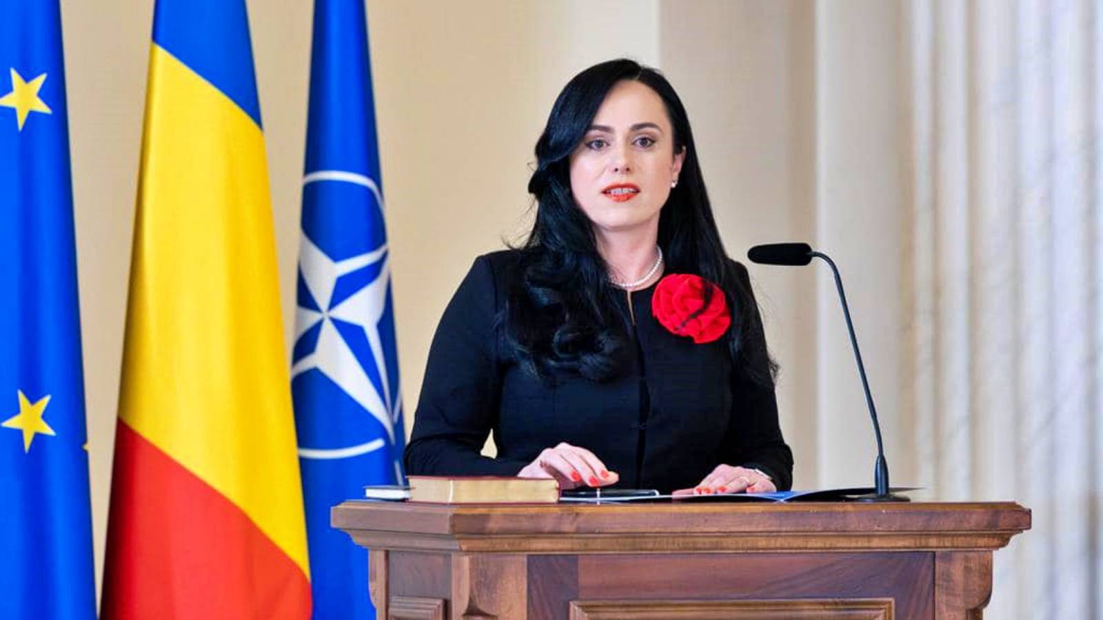 Hotarare Oficiala Simonei Bucura-Oprescu Masuri ULTIM MOMENT Guvernului Romania