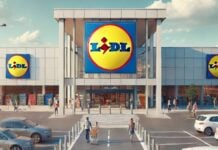 LIDL Romania Clientii Rasfatati GRATUIT Romanilor Cumpara Magazinele Romanesti