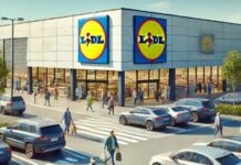 LIDL Romania Clientii Spate ofera GRATUIT Luna Septembrie Romanilor