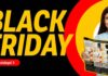 Flanco BLACK FRIDAY 2024 Catalogul Reducerilor