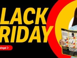 Flanco BLACK FRIDAY 2024 Catalogul Reducerilor